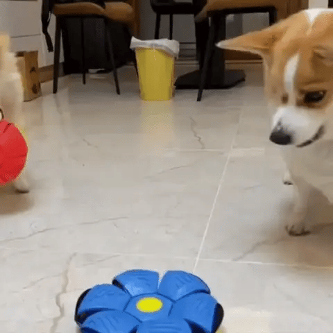 Pelota voladora | Phlat Ball™